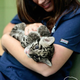 Illustration for article titled ZOMG NEW PICS OF BABY CLOUDED LEOPARD!!!
